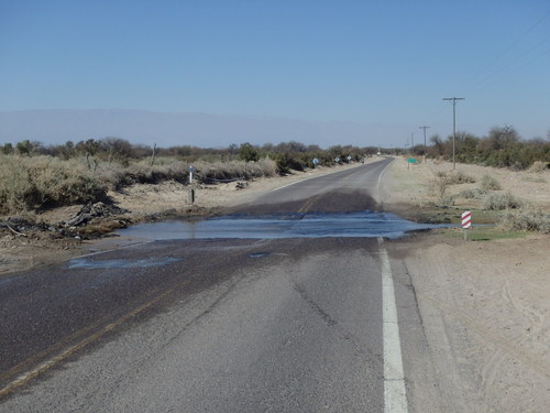 It is always nice to see water in a Semi-Desert, even if we get splashed.